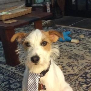 Meet your Posher, Barbara